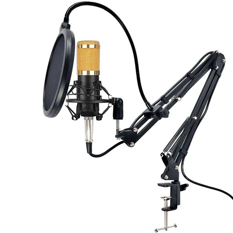 Studio Recording Condenser Microphone Kit for Network Broadcasting BM8W