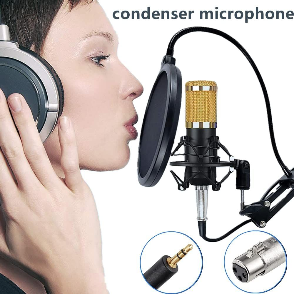 Podcast Equipment Bundle, BM-800 Mic Kit with V8 Live Sound Card