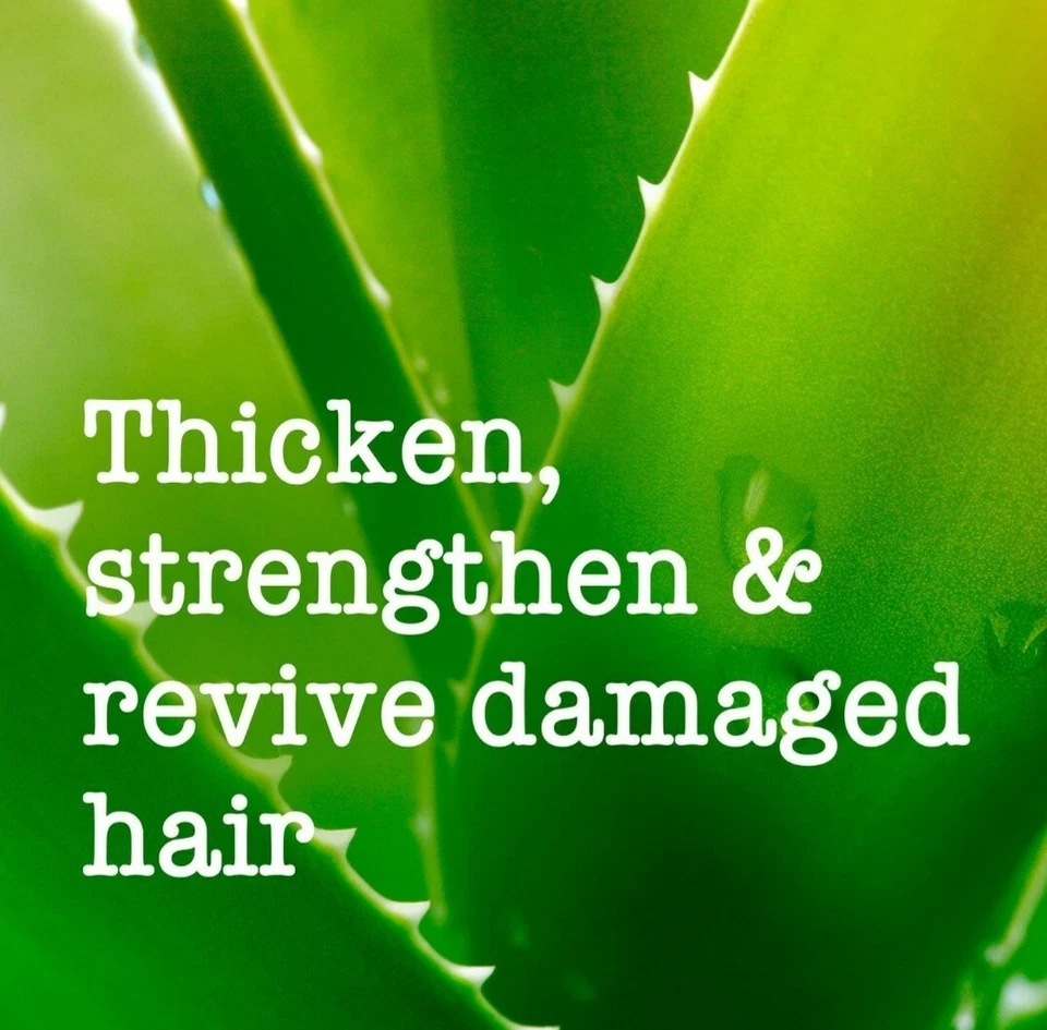 Luxurious Organic Thickening Vegan Shampoo, Bamboo & Aloe, 385ml