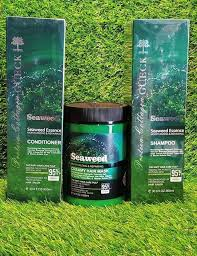 Sulfate-free seaweed, repairing and nourishing hair shampoo and care set
