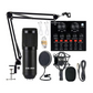 Podcast Equipment Bundle, BM-800 Mic Kit with V8 Live Sound Card