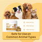 Bettar Pet Brain – Nerve Sleep Melatonin Chews