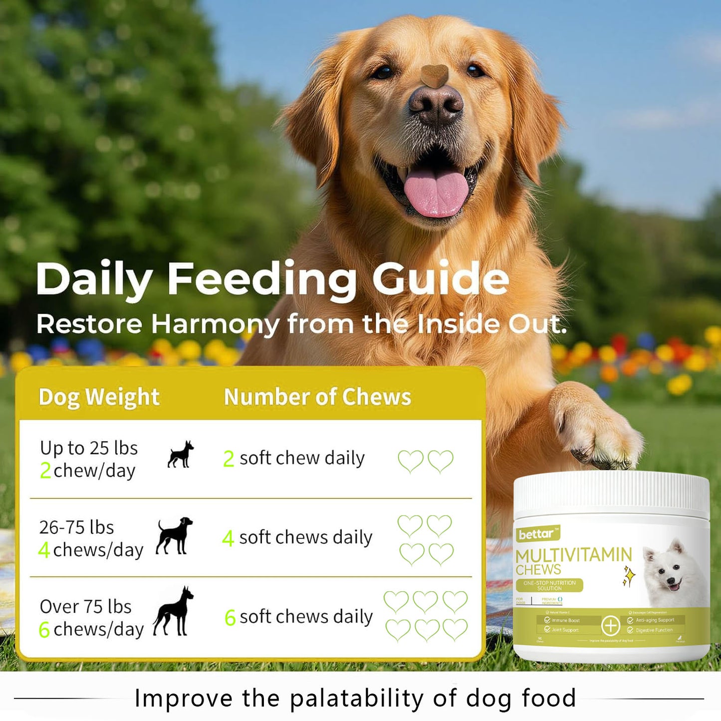 Bettar Multivitamin Chews – One‑Stop Daily Nutrition for Premium Dogs