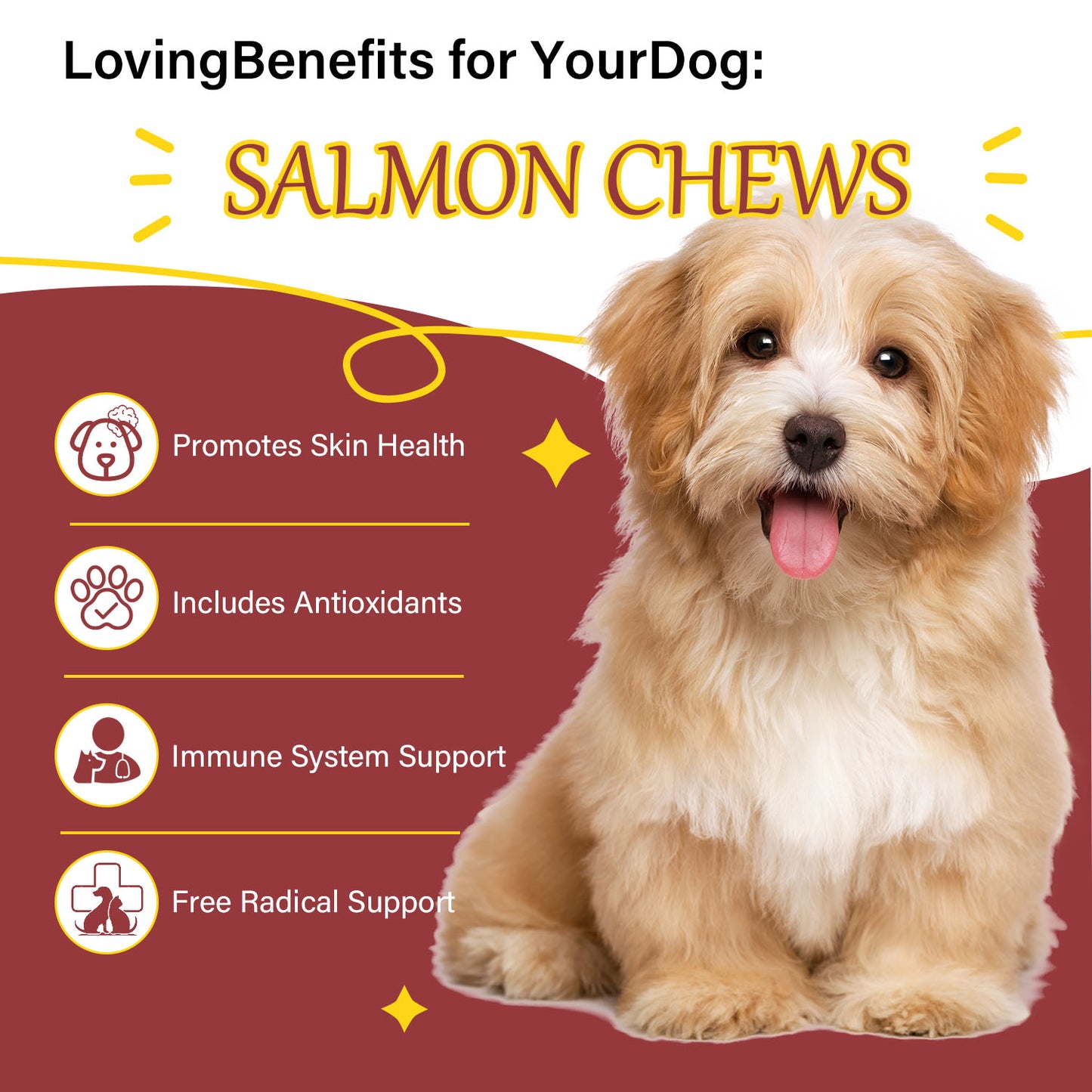 Bettar Salmon Chews – Premium Omega-3 Support for Healthy Skin & Coat