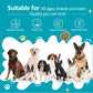 Bettar Probiotic Chews – Digestive Health &amp; Immune Support for Premium Dogs