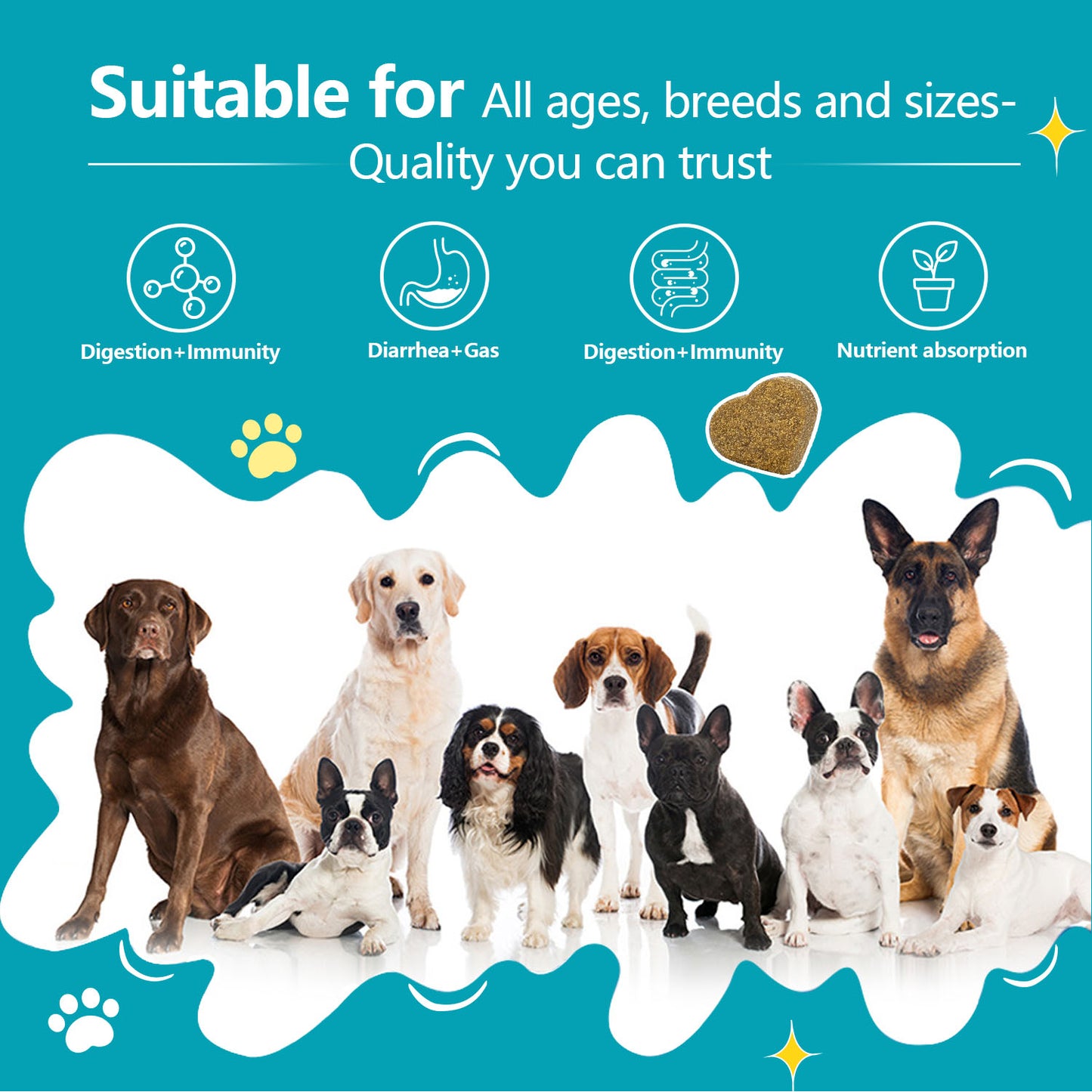 Bettar Probiotic Chews – Digestive Health &amp; Immune Support for Premium Dogs