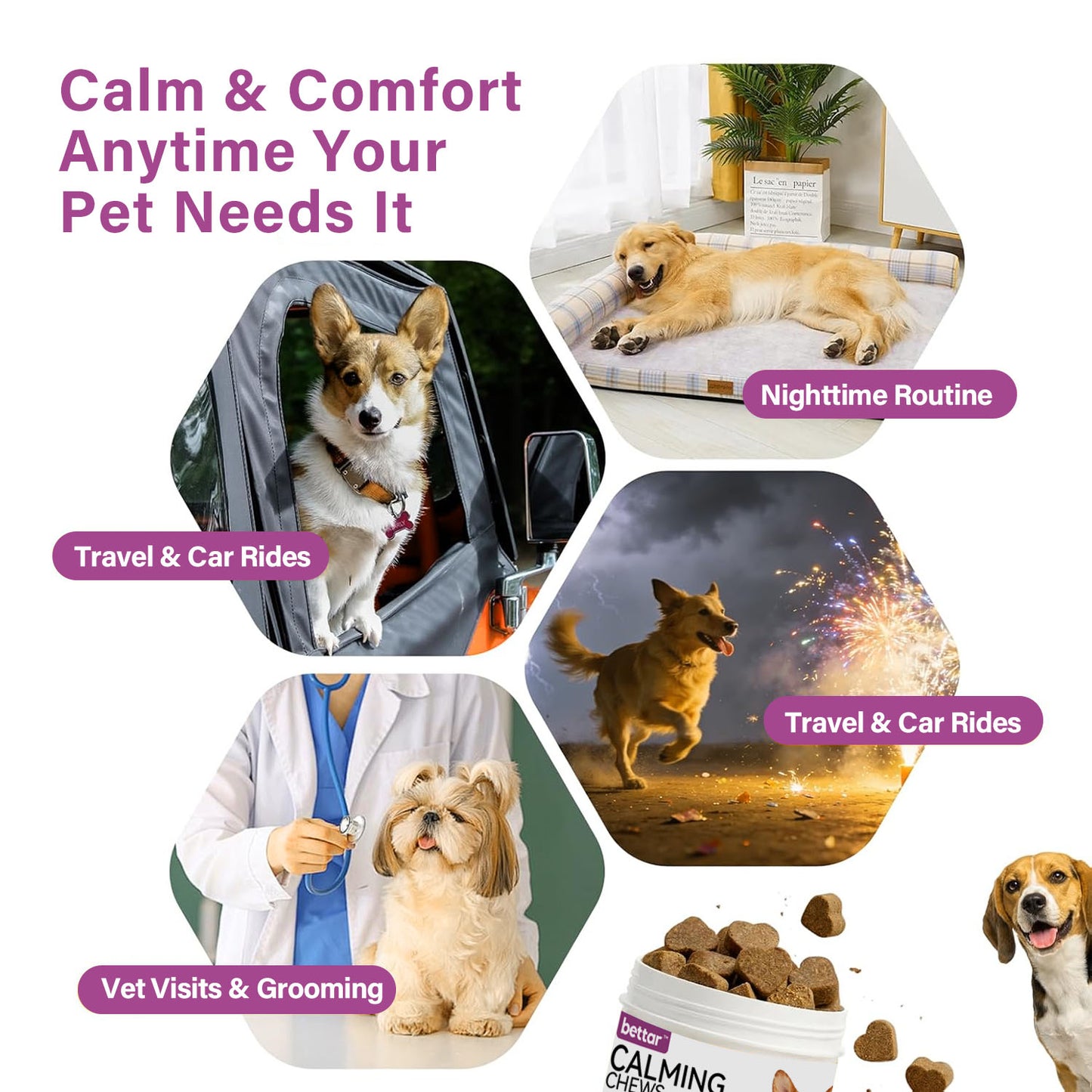 Bettar Calming Chews – Natural Calm & Comfort for Premium Dogs