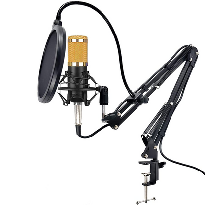 Studio Recording Condenser Microphone Kit for Network Broadcasting BM8W