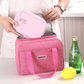Waterproof Insulated Lunch Bags