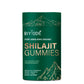 BIYODE Himalaya Organic Gummies 75% Fulvic Acid 3000mg Quantity: 60 Gummies / 180g Y Supplement