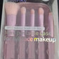 Pink Travel Brush 5-Piece Set (With Box)