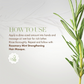 Mielle Intense Rosemary Mint Set OF 4
