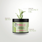 Mielle Intense Rosemary Mint Set OF 4