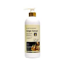 Shampoo with Ginger Extract, 800ml