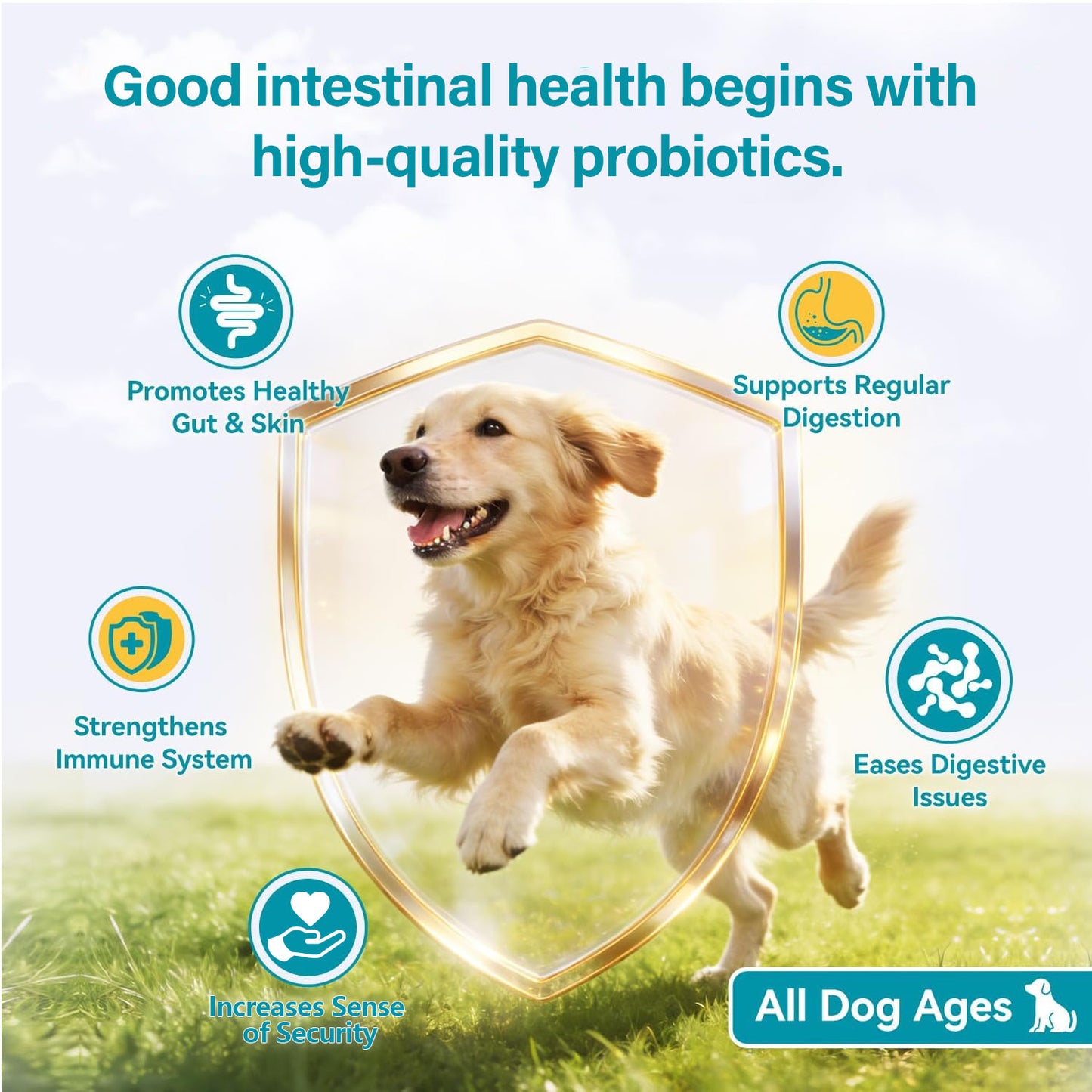 Bettar Probiotic Chews – Digestive Health &amp; Immune Support for Premium Dogs