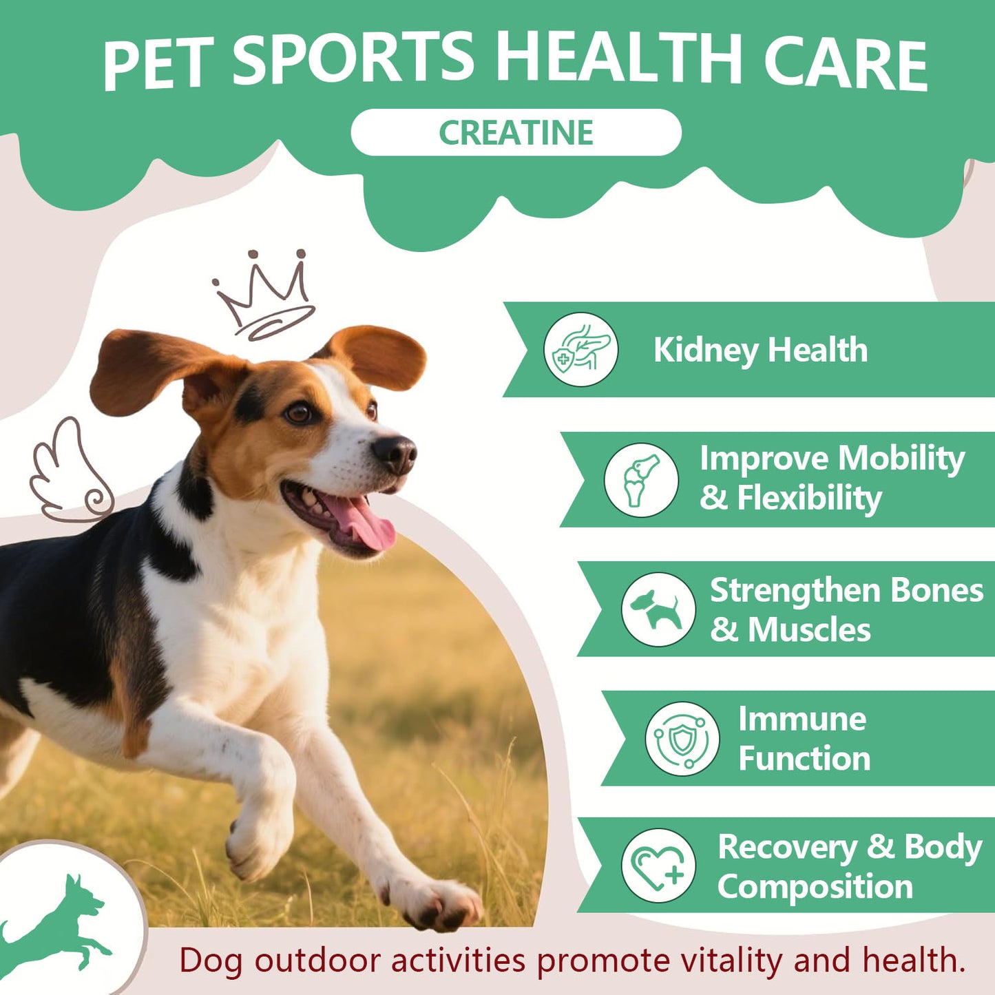 Bettar Pet Sports Health Care – Creatine Chews