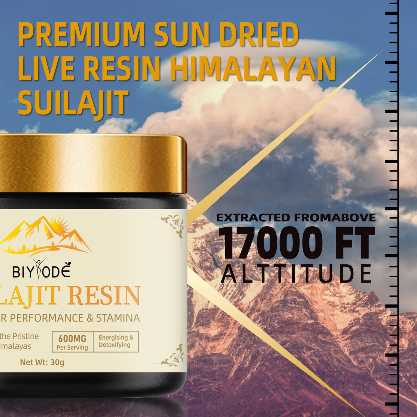 BIYODE - Natural Pure Himalayan Resin 30g