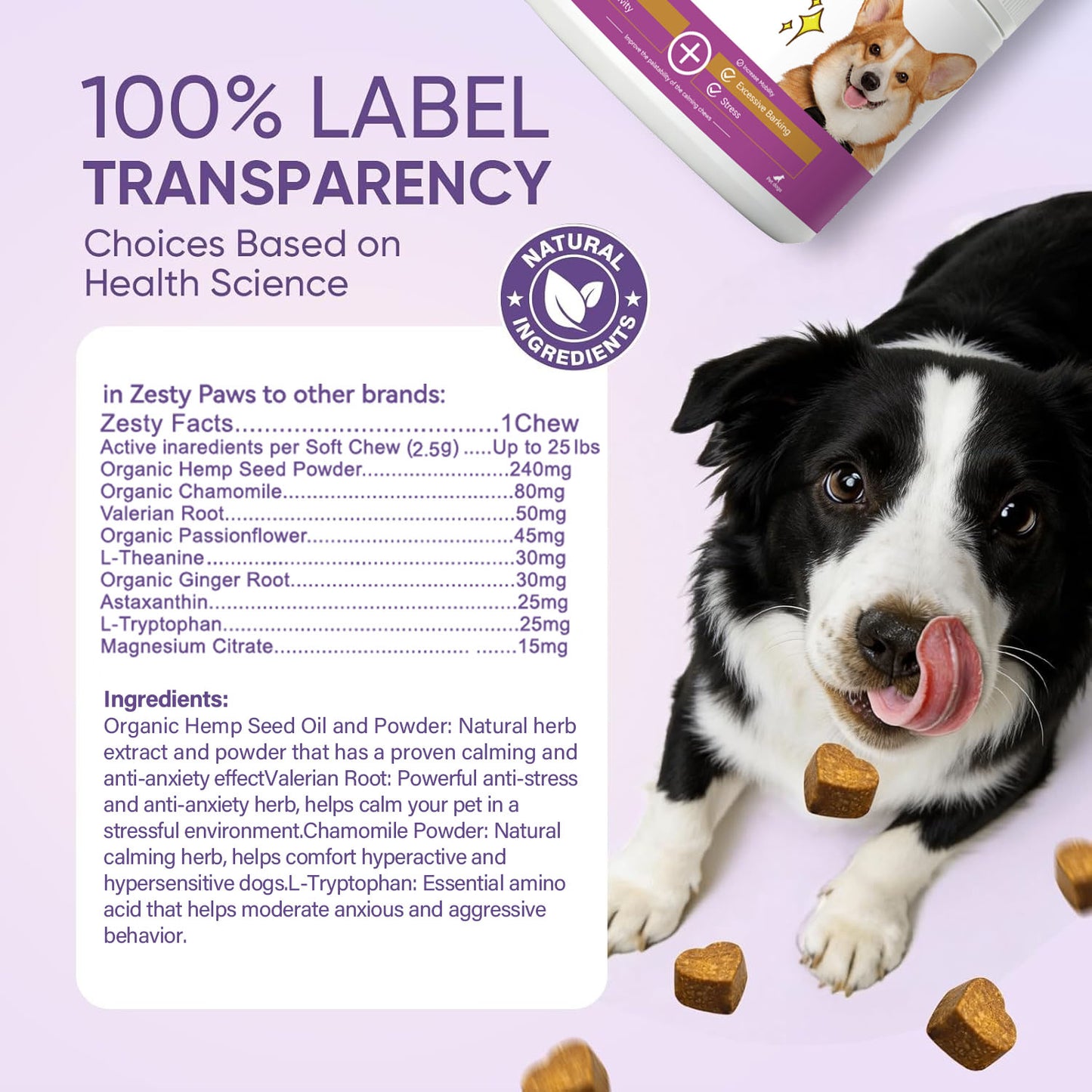 Bettar Calming Chews – Natural Calm & Comfort for Premium Dogs
