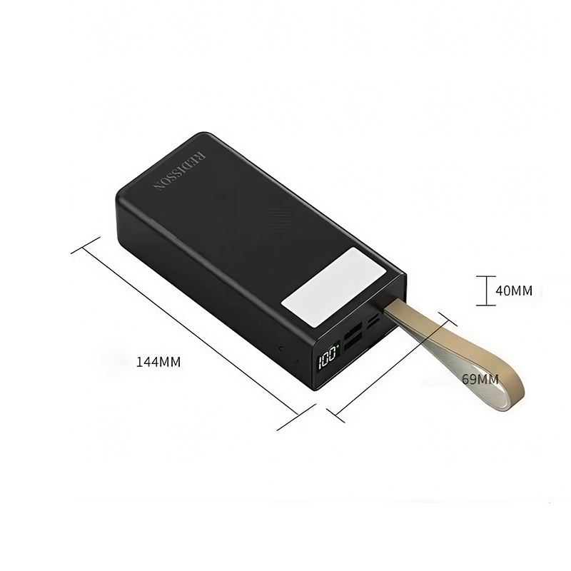 Redisson 30000mAh Portable Charger Power Bank Dual USB Charge