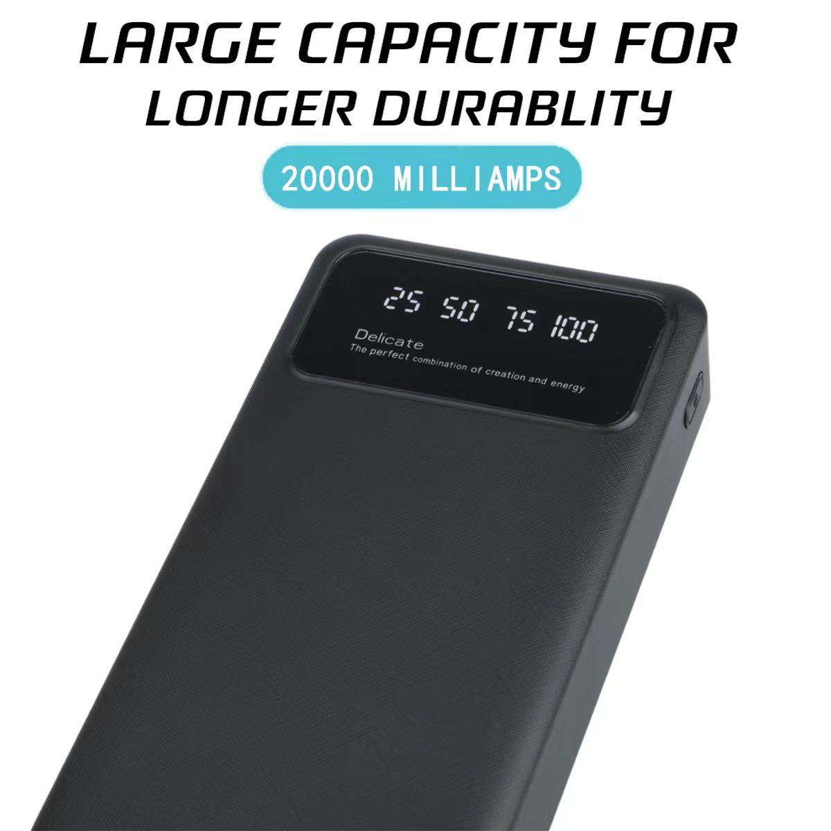Redisson 20000 mAh Portable Charger, Power Bank, Dual USB Charge