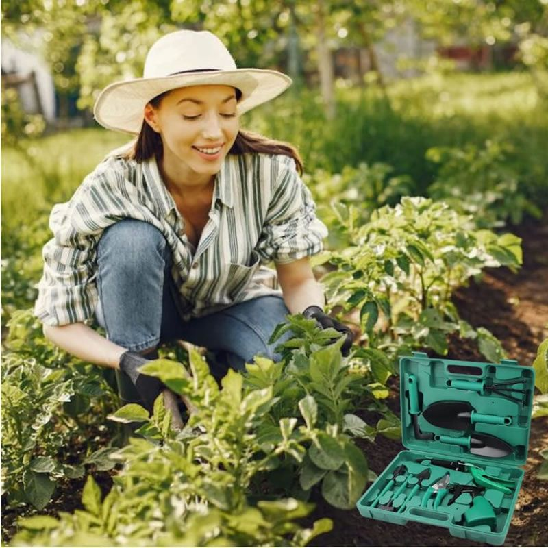 10 Piece Stainless Steel Heavy Duty Gardening Tool Kit With Carrying Case FH-18