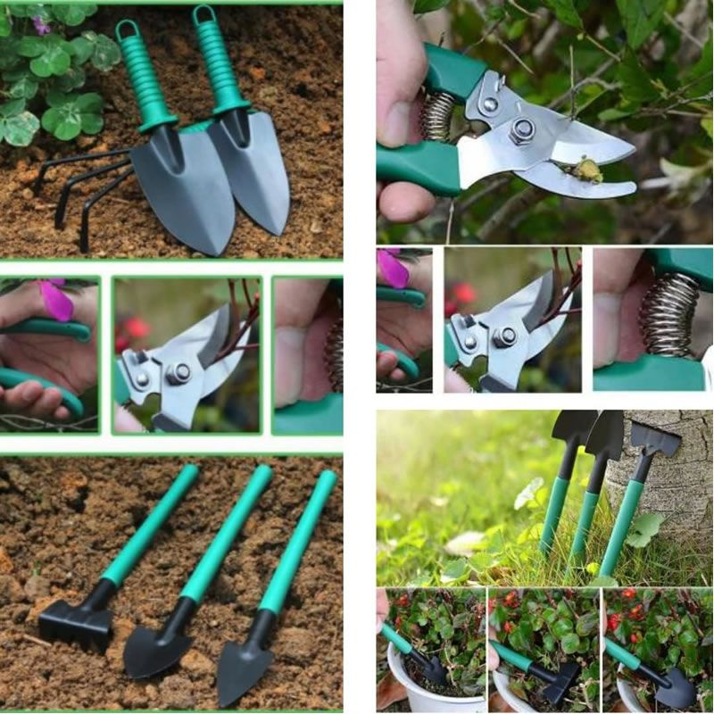 10 Piece Stainless Steel Heavy Duty Gardening Tool Kit With Carrying Case FH-18