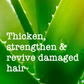 Luxurious Organic Thickening Vegan Shampoo, Bamboo & Aloe, 385ml