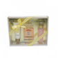 Women's three-piece perfume gift set