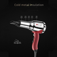 ENZO EN-2997 Professional Stainless Steel Hair Dryer