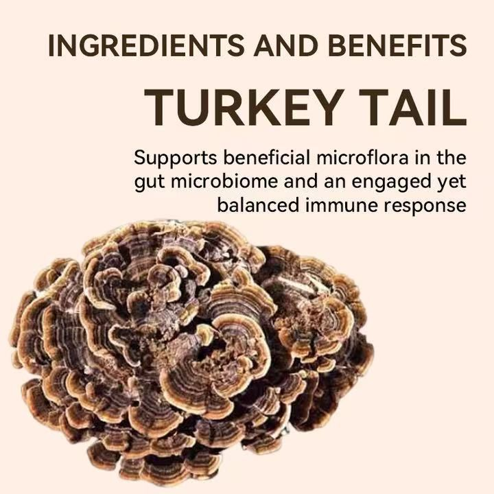 LIFEWORTH Turkey Tail Capsules Adult Nutritional Supplement for Gastrointestinal Health and Gut Microbiome Natural Mushroom Supplement, Dietary Supplement Made from Mushroom Mycelium